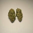 Strawberry Cough (PREMIUM)