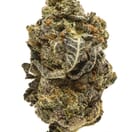 Alien Cookies - Hybrid THC 26%