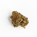 GELATO - 5 GRAMS