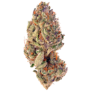 Tropicana Cookies