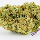 Jack Herer (A+)