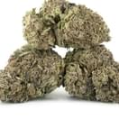 Fruit Punch (exotic)
