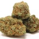 Super Sour Diesel (exotic)