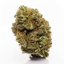 Black Gelato - Indica THC 26%