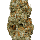 Ak-47