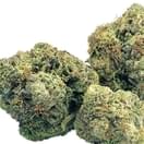 LEMON BERRY (TOPSHELF)
