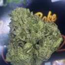 TOPSHELF- ROOT BEER