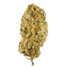 Jack Herer - Sativa THC 22%