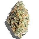 Blue Razz (EXOTIC)