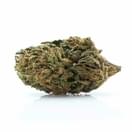 Pink Kush