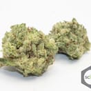 Gorilla Glue S1