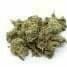 Purple Punch