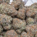 Gelato Cake Indica Flower 34% THC | Exotic Indoors Cannabis