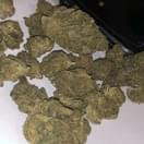 CANNALOPE HAZE