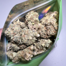 Green Goddess (Indoor Premium)