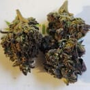 Ghost Rider OG - P