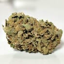 Blue Widow