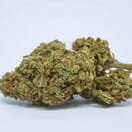 JET FUEL OG - 5 GRAMS