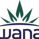 250mg - Wana