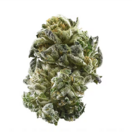 GIRL SCOUT COOKIES (GSC)