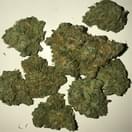 Kali-47 +AAA (Sativa)