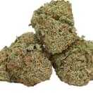 Blue Dream (exotic)