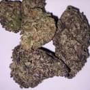 Colombian Gold (A+)