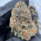 Lemon Cherry Gelato (Hybrid)