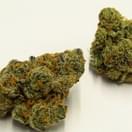 Chemdawg
