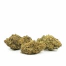 Sour Cookies (PREMIUM)