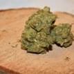 GG4 (f.k.a. Gorilla Glue #4)