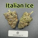 Italian Ice---Designer