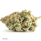 Northern Lights