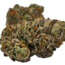 Fuel Biscuits (AAA)