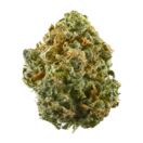 Kentucky Durban AAA