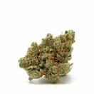 Motor breath ( Top shelf)