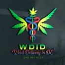 Hippie Crasher --- ( INDICA) EXOTIC