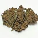 Orange Cream