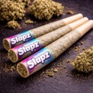 Slapz