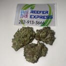 Northern Lights