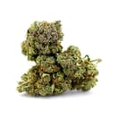 Jack Herer Sativa-Dominant Hybrid | Top Shelf Flower