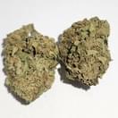 Sour Flame - P