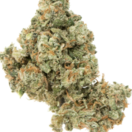 jack Herer