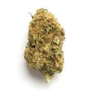 Lemon Poppers (PREMIUM)