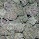 Purple Trainwreck - High Valley Farms