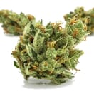 Pineapple Xpress