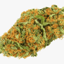 Rose OG