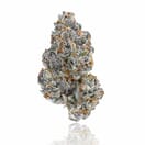 Chrome Hybrid Flower 35% THC - Premium Designer Exotic