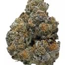 Monster cookie