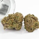 Yuzu Mac – 32–33% THC (Top shelf)